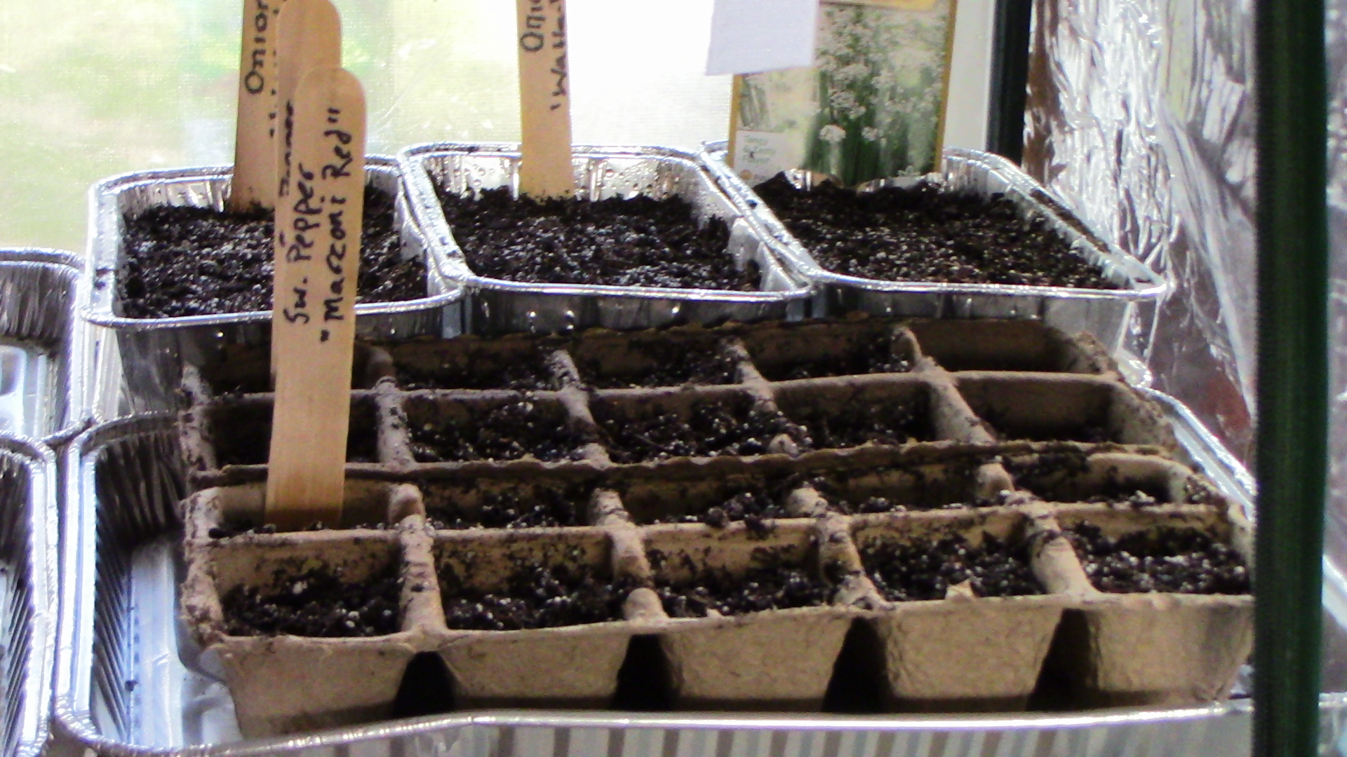 Seed Starting in a Mini Greenhouse with Heat Pads